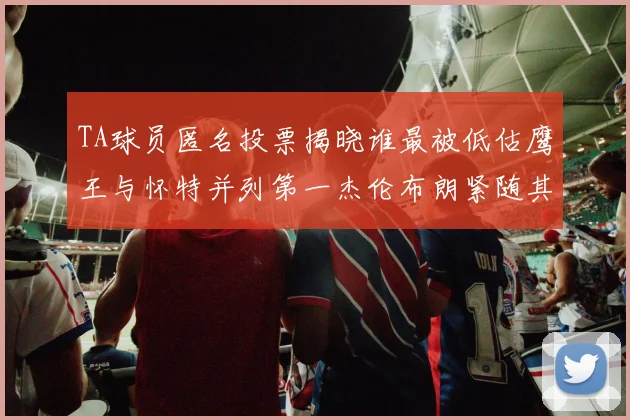 TA球员匿名投票揭晓谁最被低估鹰王与怀特并列第一杰伦布朗紧随其后